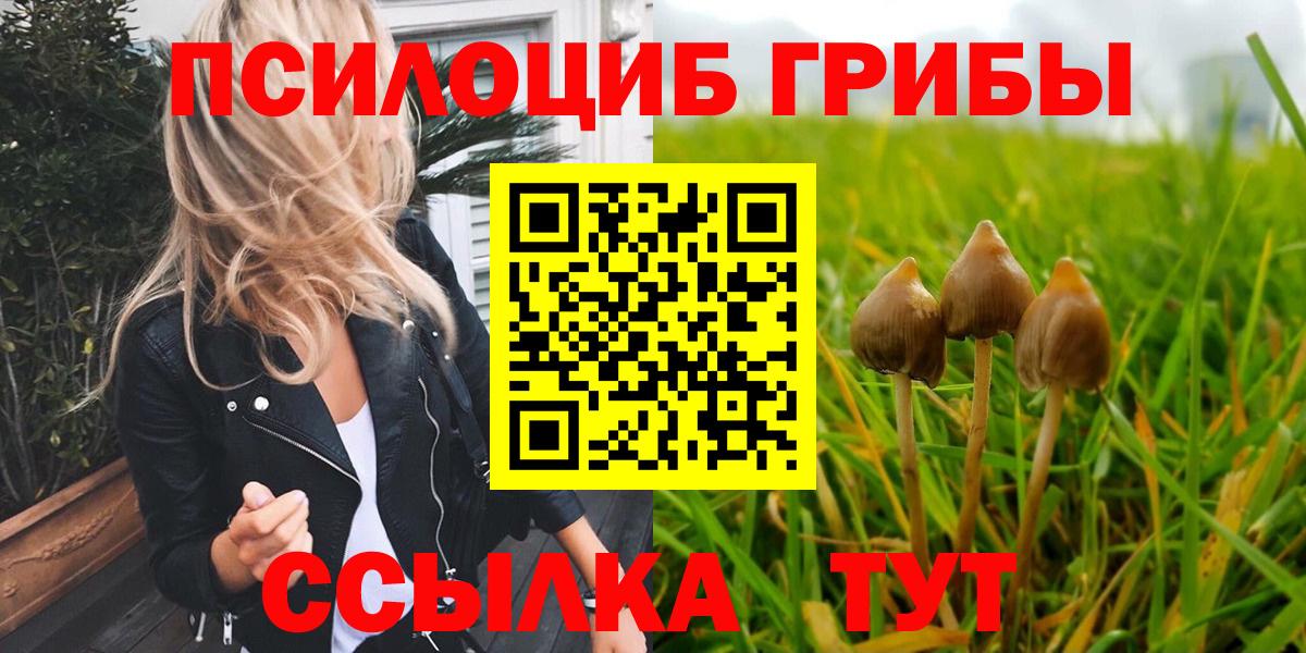 Псилоцибиновые грибы прущие грибы Димитровград