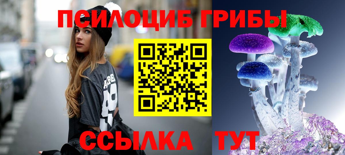 Димитровград  Псилоцибиновые грибы Psilocybine cubensis  Вход с VPN 