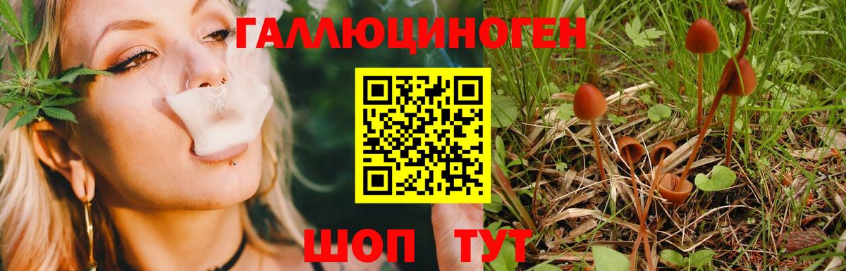 Псилоцибиновые грибы мухоморы Димитровград