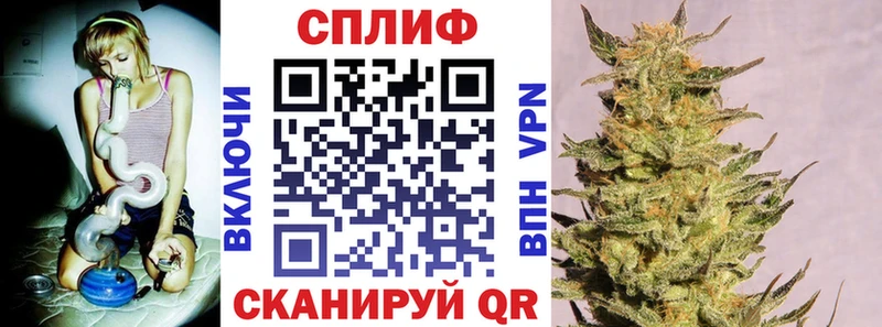 купить  сайты  darknet как зайти  Шишки марихуана White Widow  Димитровград 